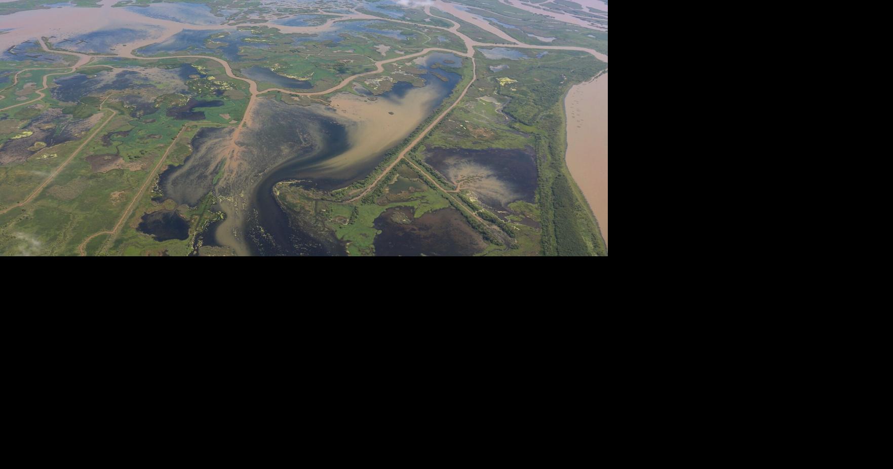 Louisiana wants oil firms to pay for coastal damage. A Supreme Court ruling just made that harder.