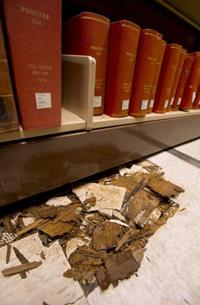 Maintenance At Lsu Severely Lacks After Years Of Budget Slashing Deterioration Labeled Disgusting Education Theadvocate Com