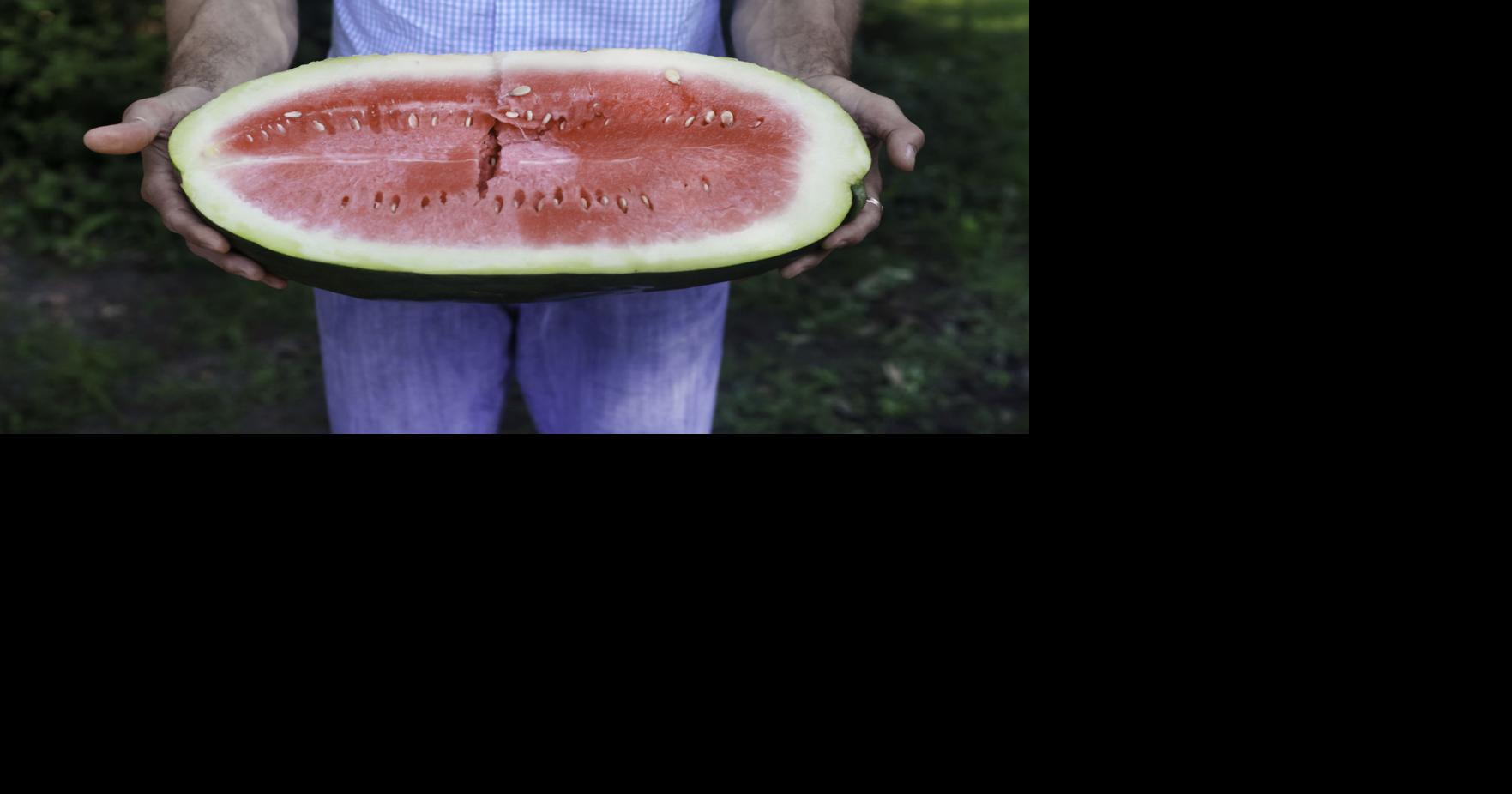 Sweetest in the South? Vintage watermelon variety makes a comeback, and ...
