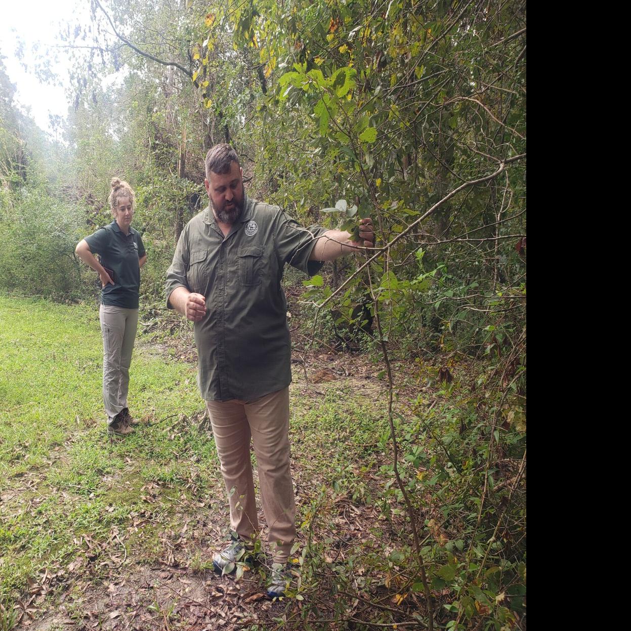 2022 2023 Louisiana Rut Calendar What's The New Schedule For Louisiana's Hunting Seasons? See Proposed 2022-2023  Dates | Sports | Theadvocate.com