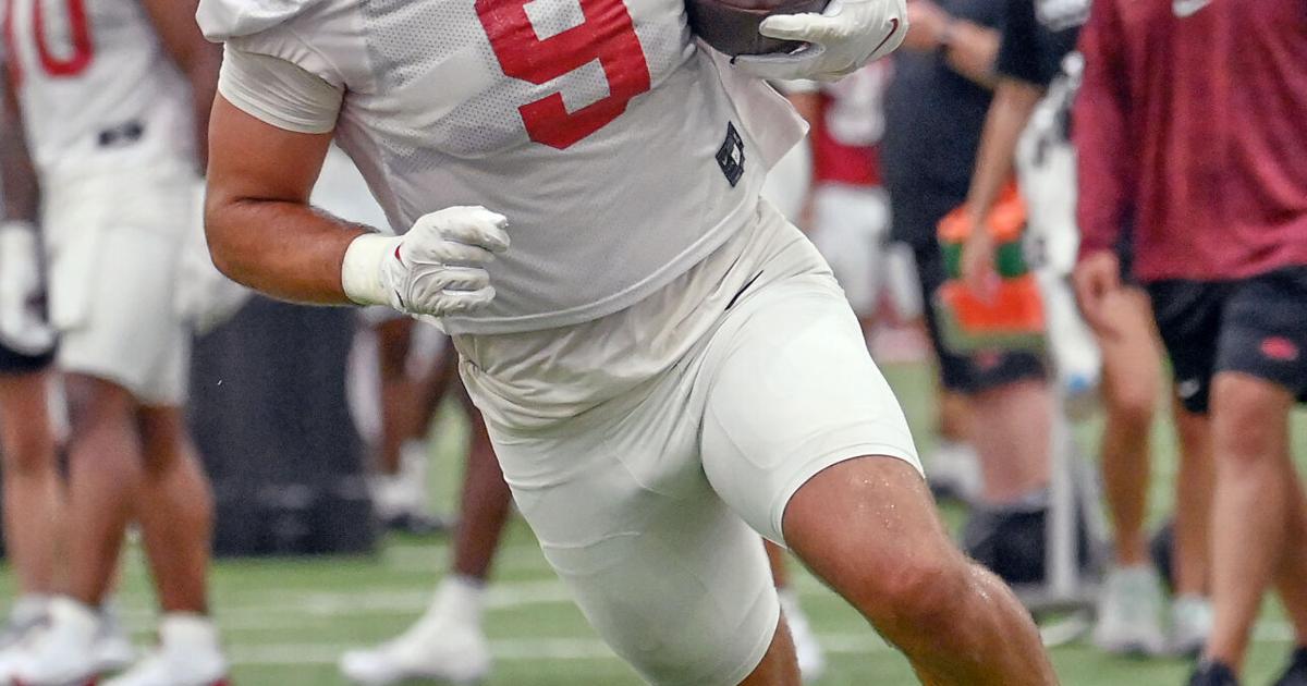 Hog Position Tight end position set to be good for Hogs in 2024 | Sports | thecabin.net