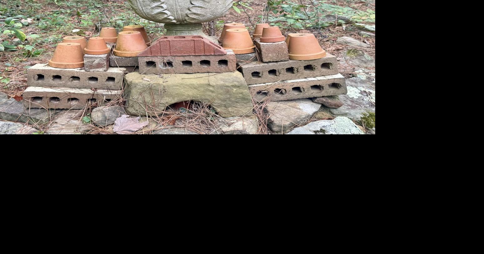 12 months of gardening