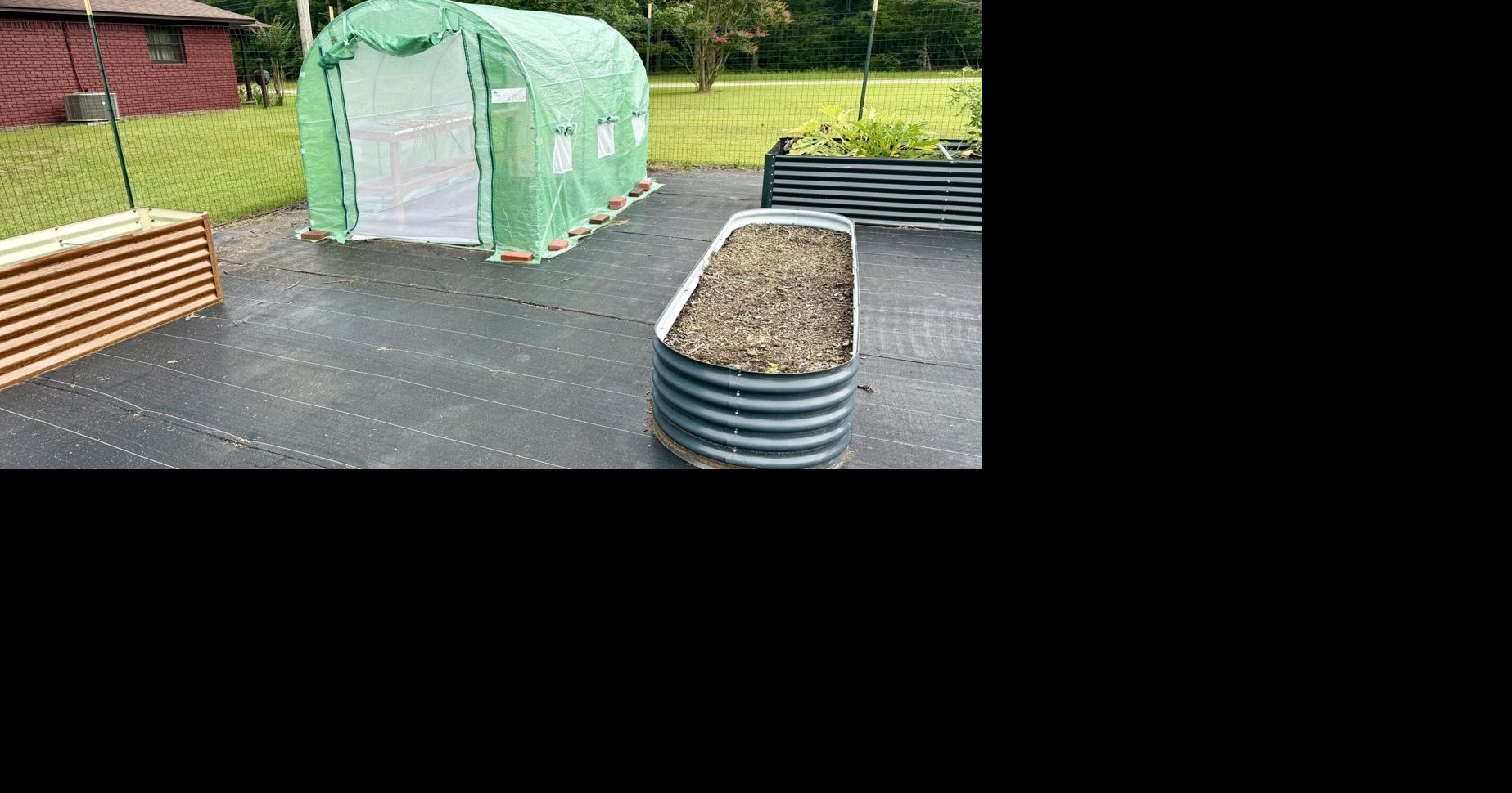 12 months of gardening