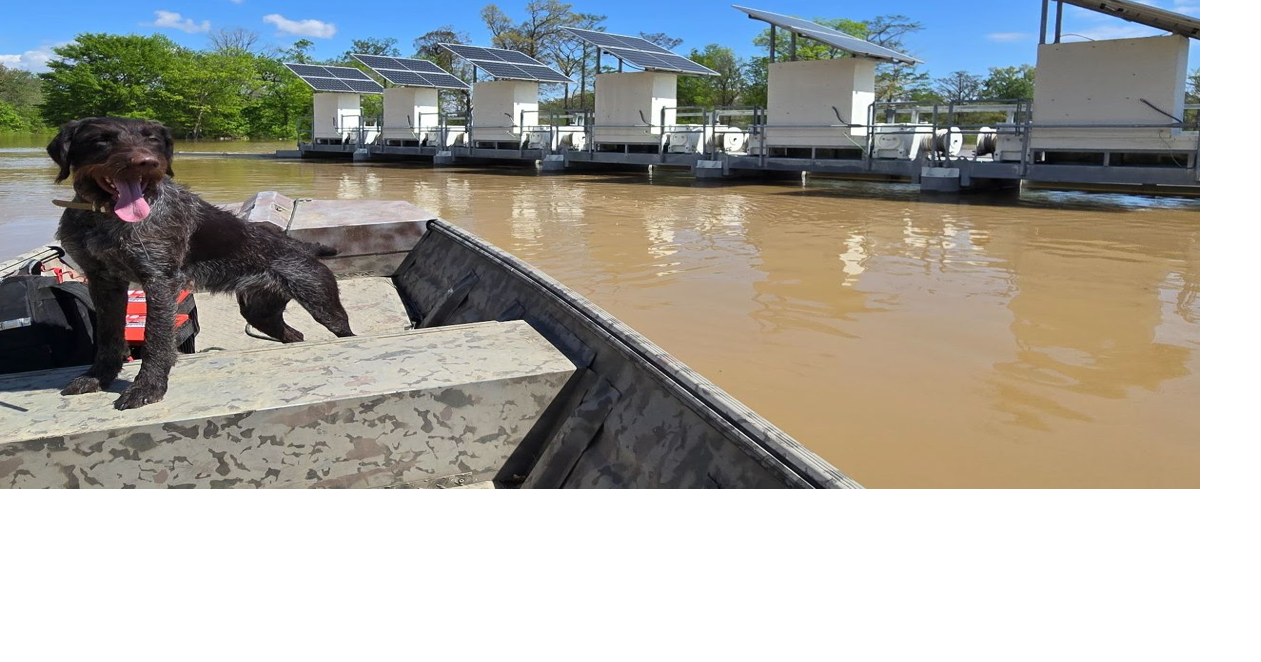 New Glaise Creek structure meeting challenges