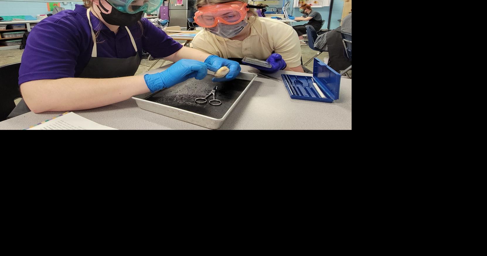 Anatomy students learn through dissection | News | thecabin.net