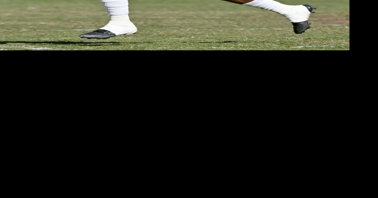 Hogs WR declares for NFL Draft, others enter transfer portal | Sports ...