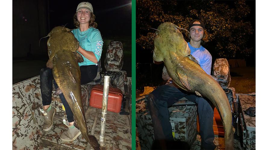 Siblings catch 'monster' flatheads night fishing on Lake Conway, News