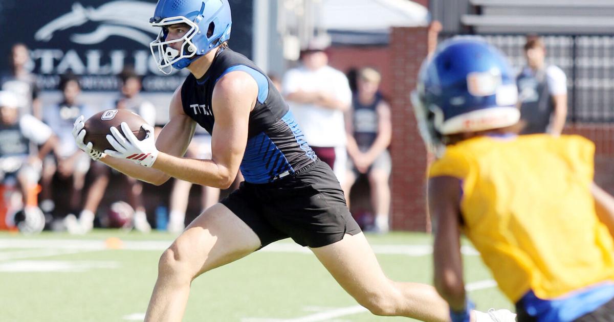 Wampus Cats get better during summer months