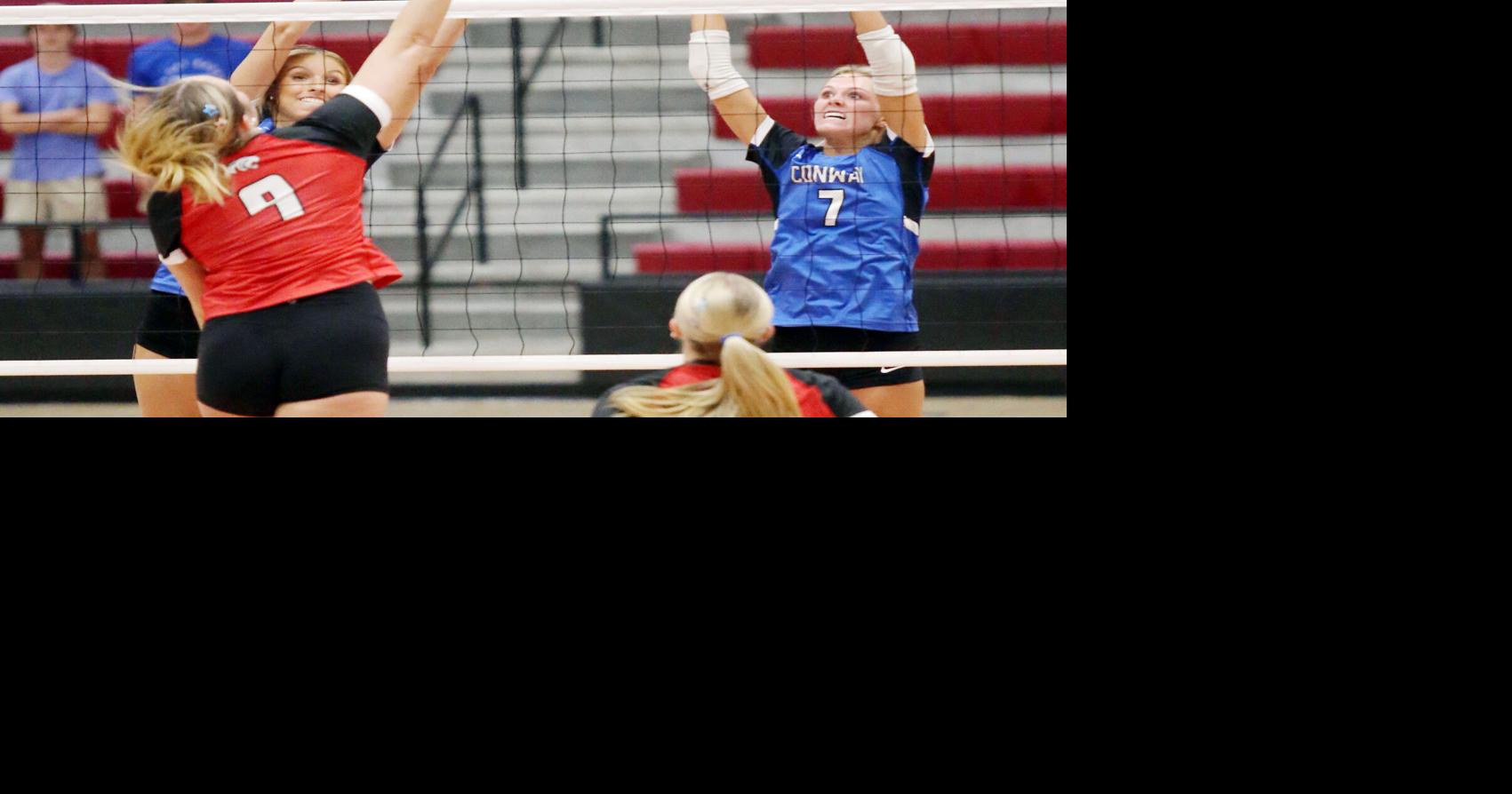 vball1.jpg