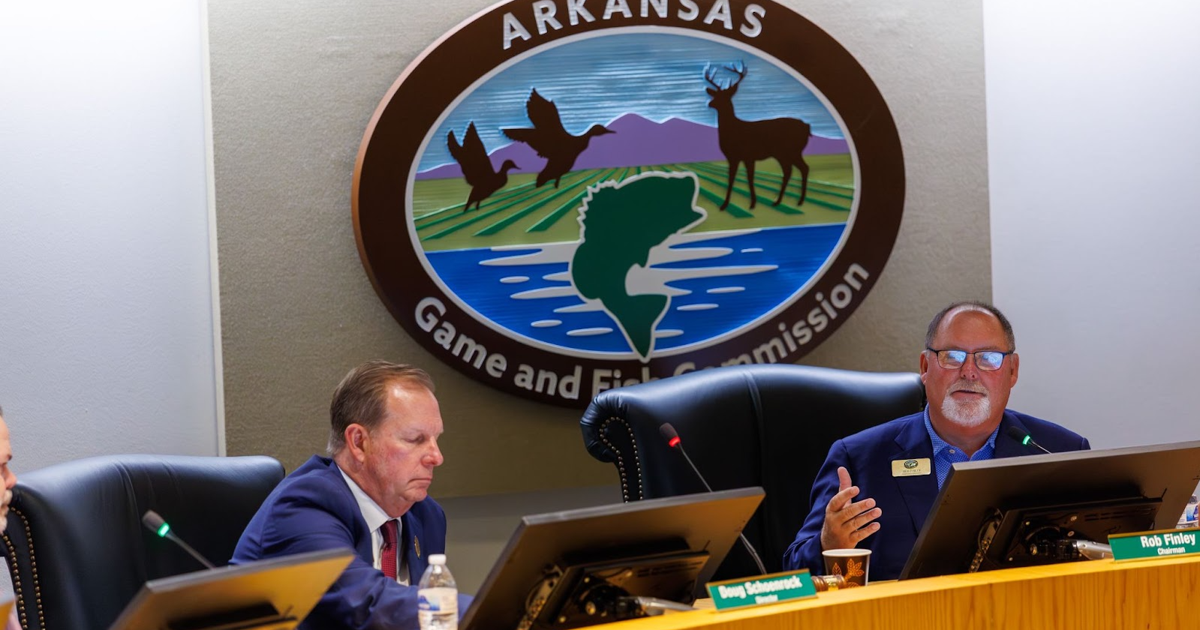 AGFC proposes waterfowl hunting draw for portion of WMA