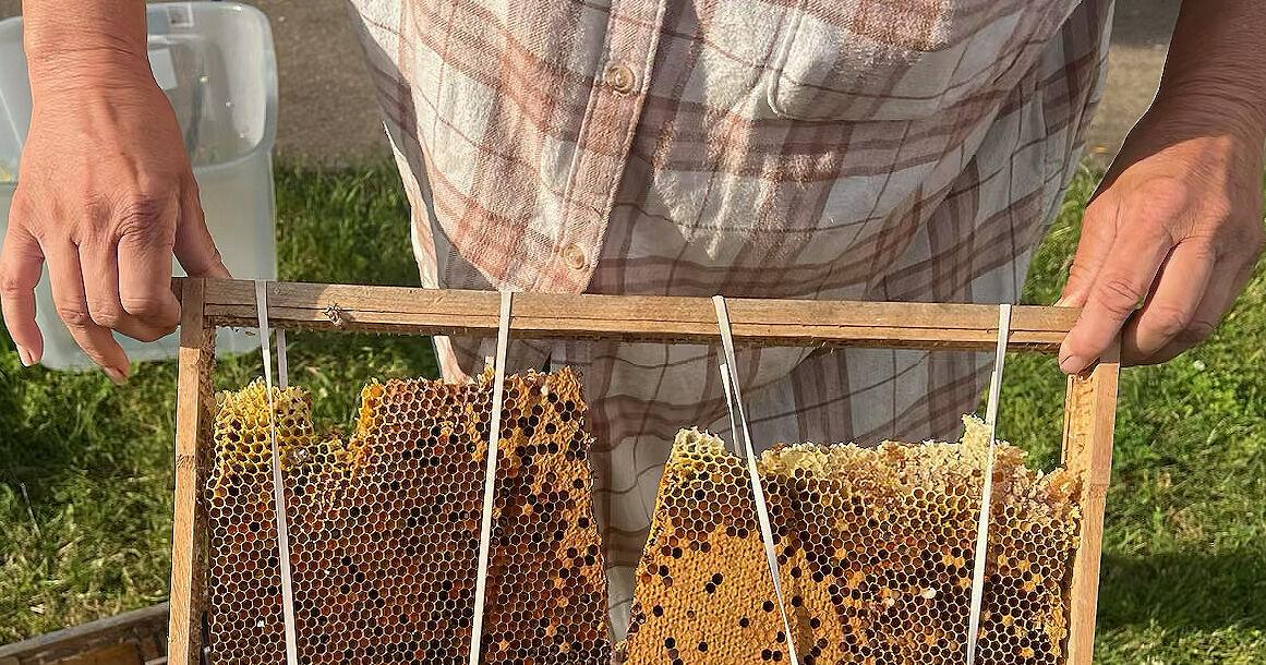 Active hive removed from FUMC