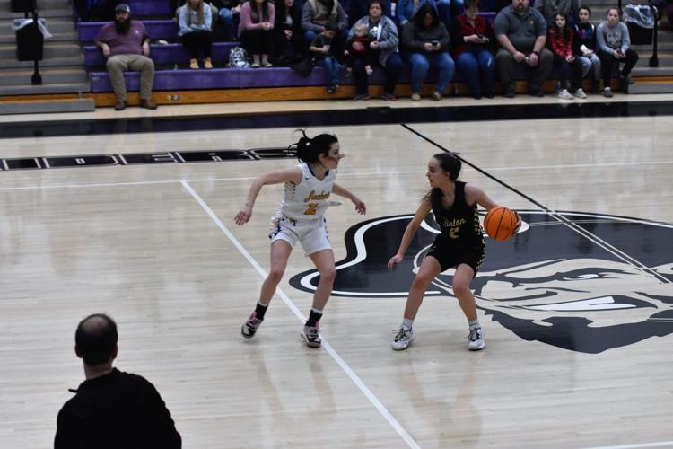 Lady Yellowjackets defeat Mt. View win District Championship Vanburen