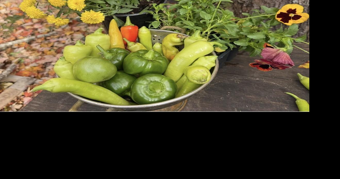 12 months of gardening
