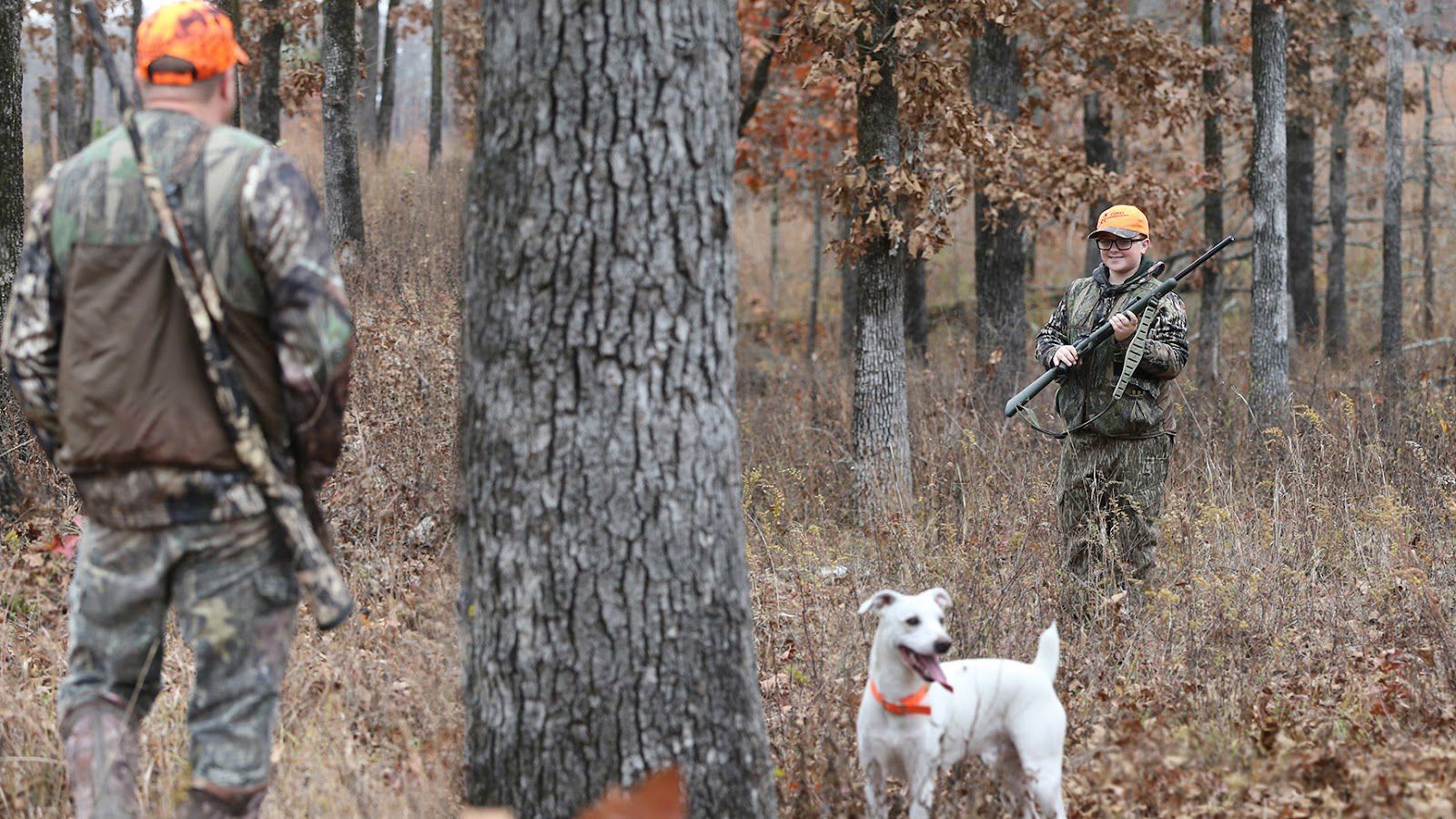 The dog days of squirrel season 