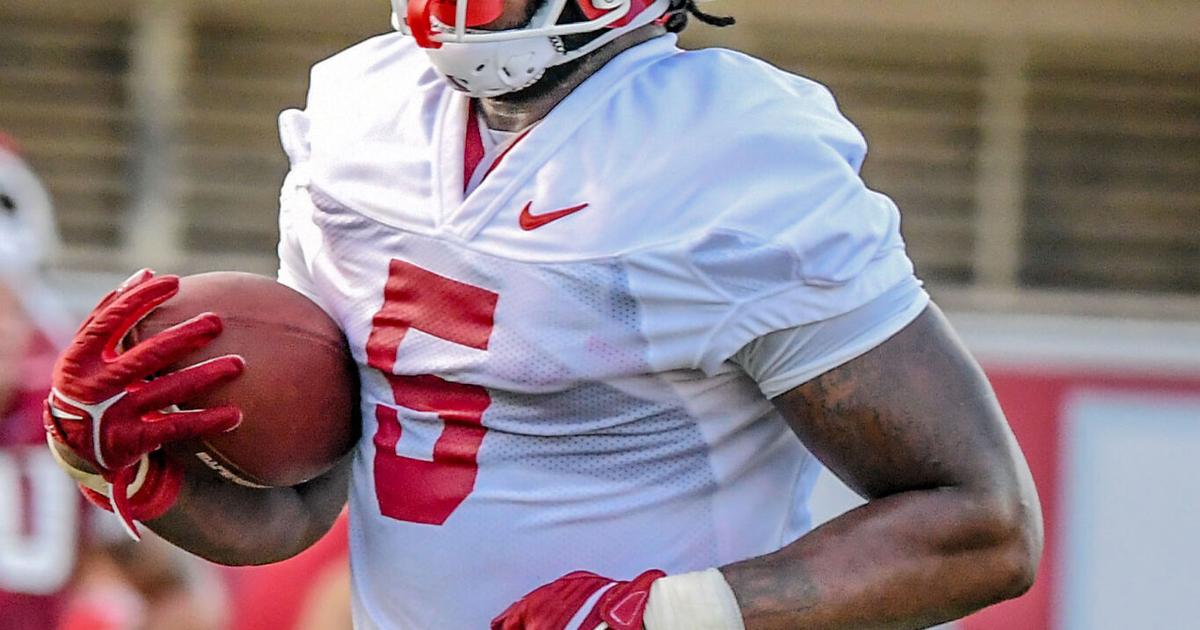 Razorbacks will lean on running backs this season | Sports | thecabin.net