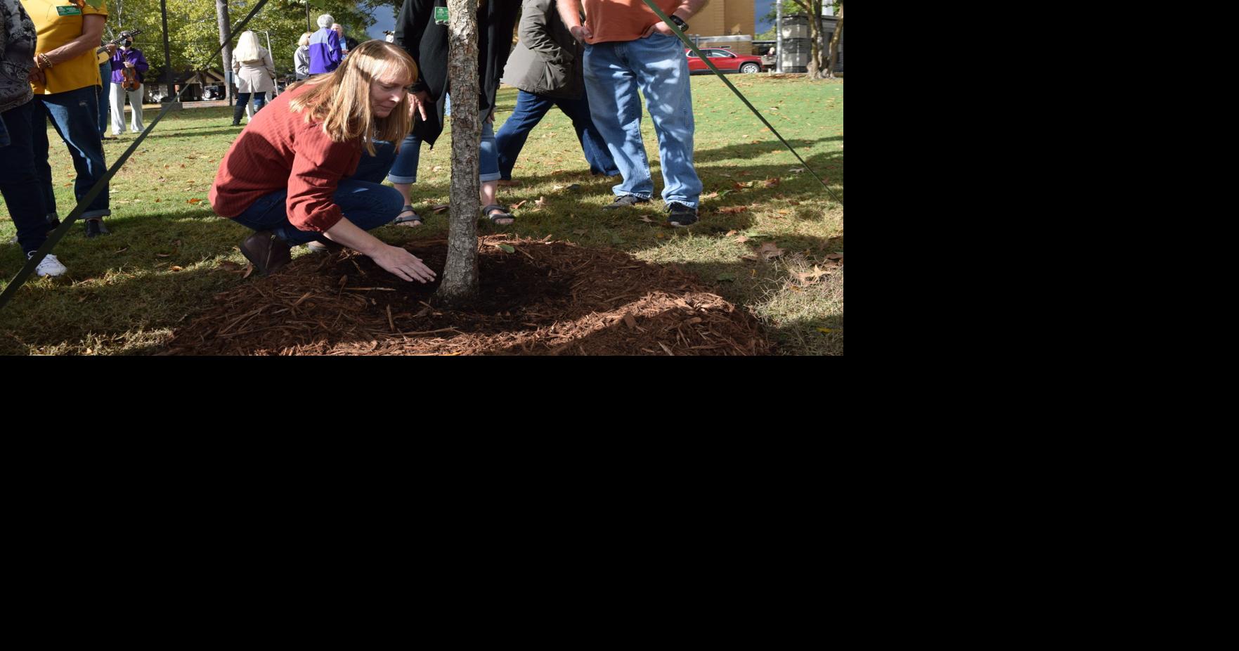 New Fiddler Tree dedicated in memory of Faril Simpson | News | thecabin.net