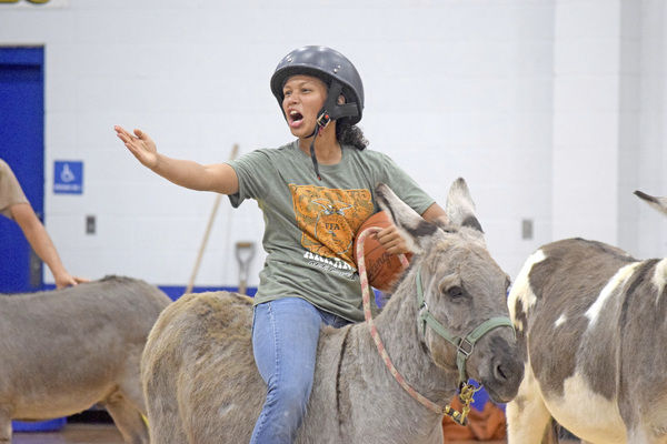 Donkey basketball returns to help Seton, News