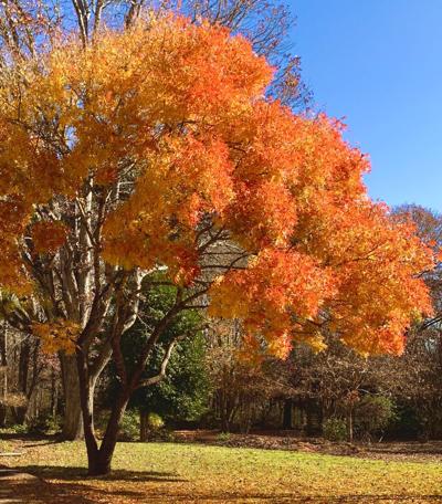 Fall