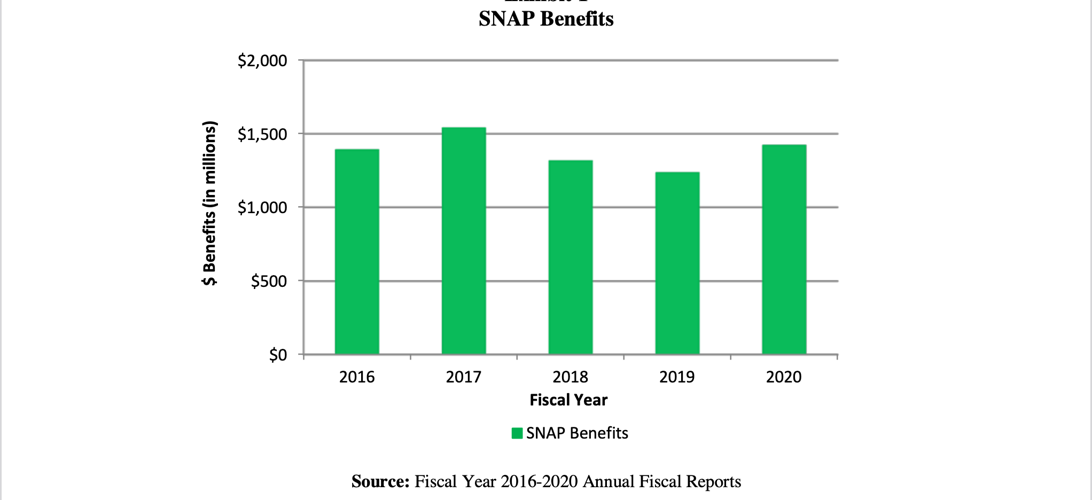 Louisiana auditor raps work requirement oversight Louisiana