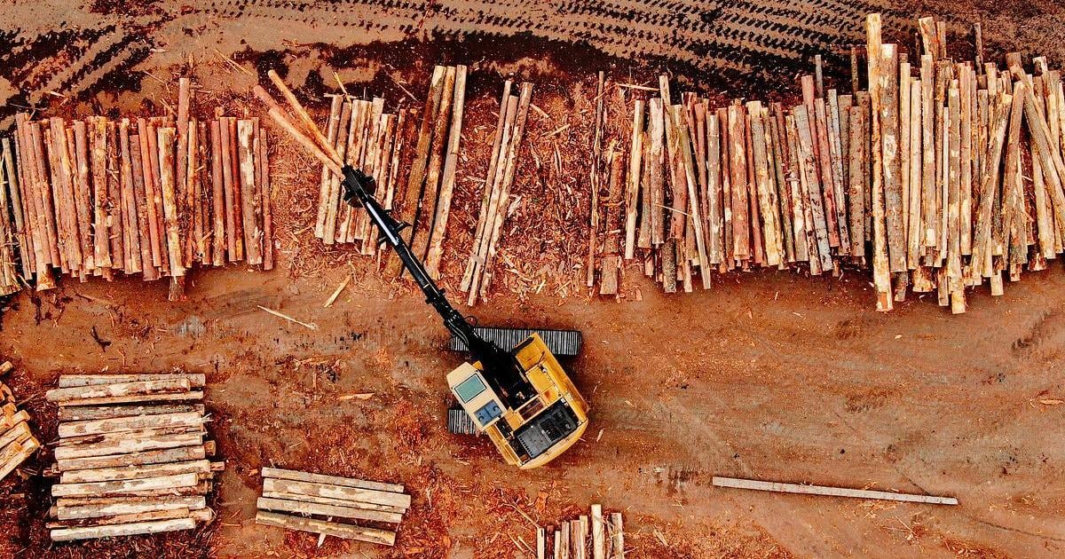 Exclusive: USDA distributing loans to Oregon, Nevada sawmills to expand timber production