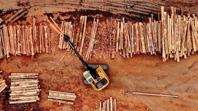 Exclusive: USDA distributing loans to Oregon, Nevada sawmills to expand timber production