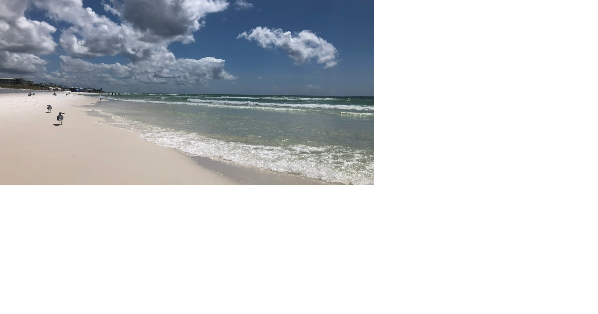 Florida's economy set for more modest growth, report says