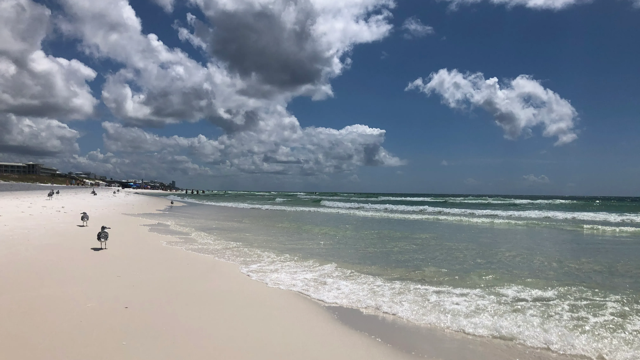 Study: Tourism drove $98.6B Central Florida economy