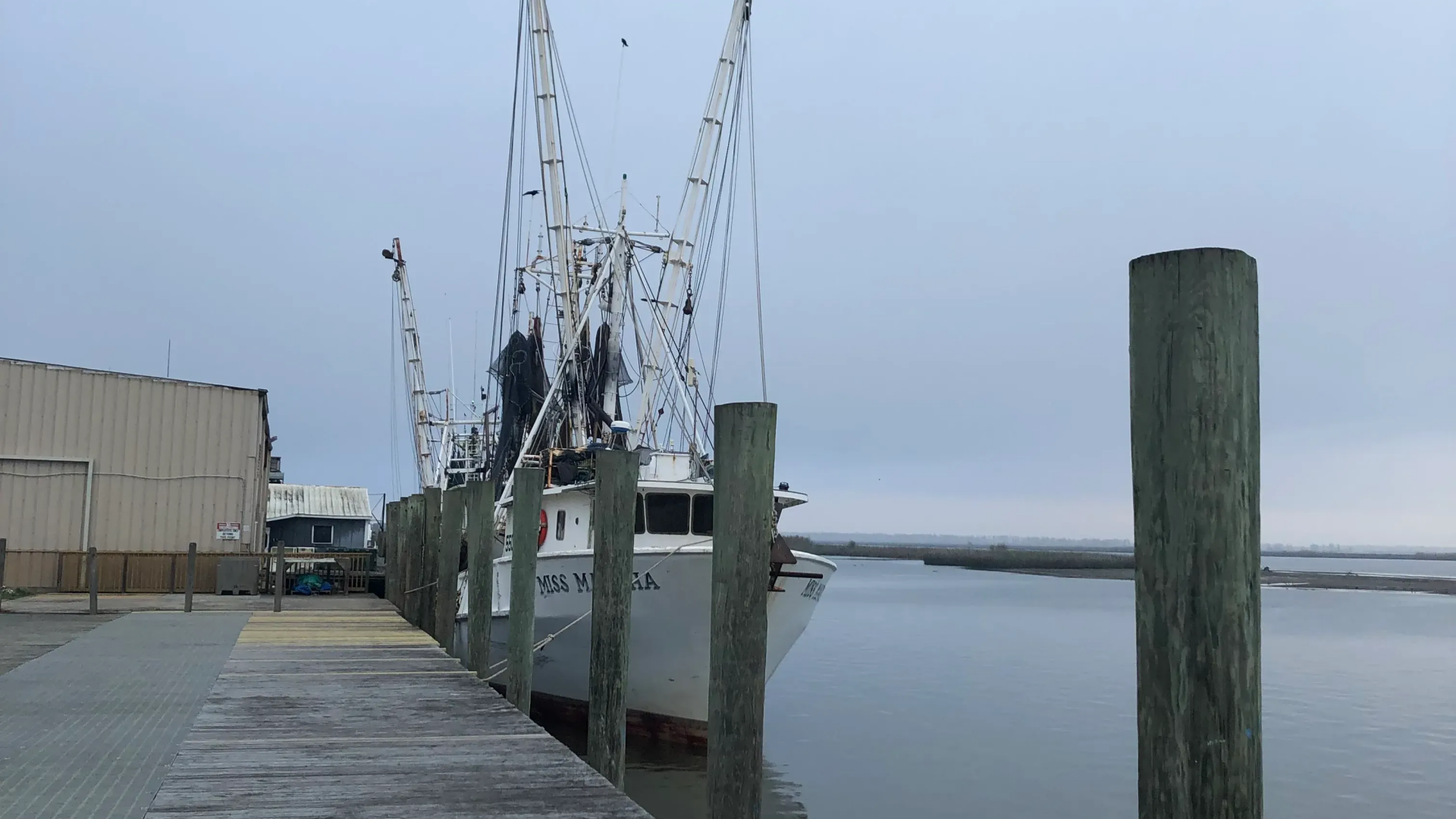 thecentersquare.com - By Merrilee Gasser | The Center Square contributor - Tourism hits record high in Florida