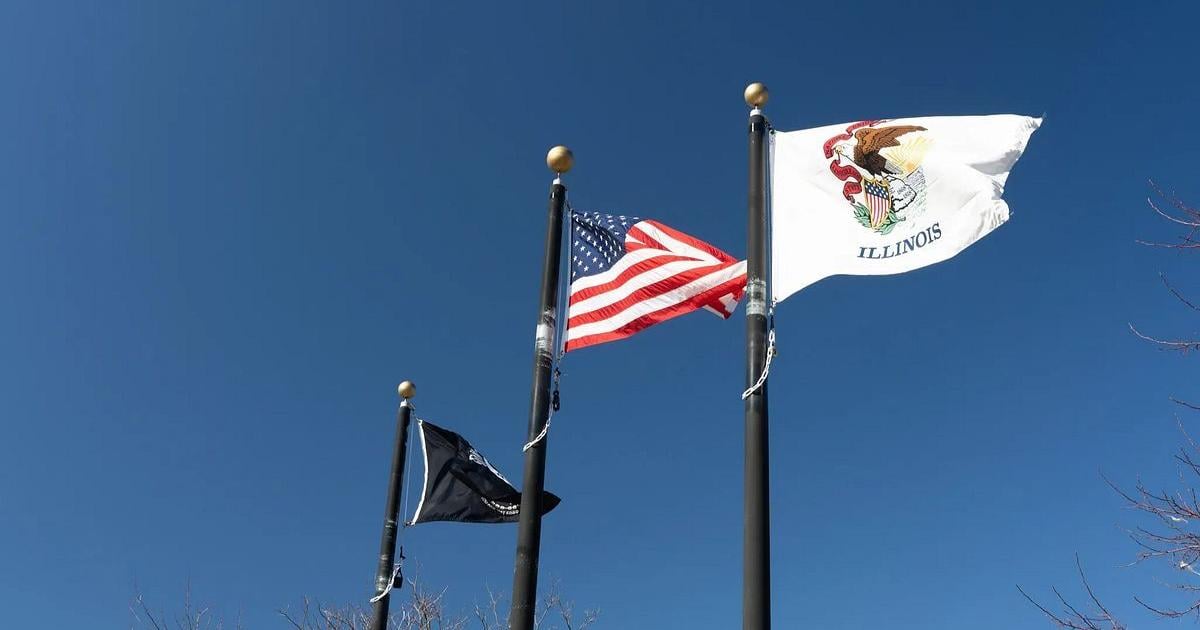 Illinois quick hits: Ameren requests rate hike; Pearl Harbor remembrance