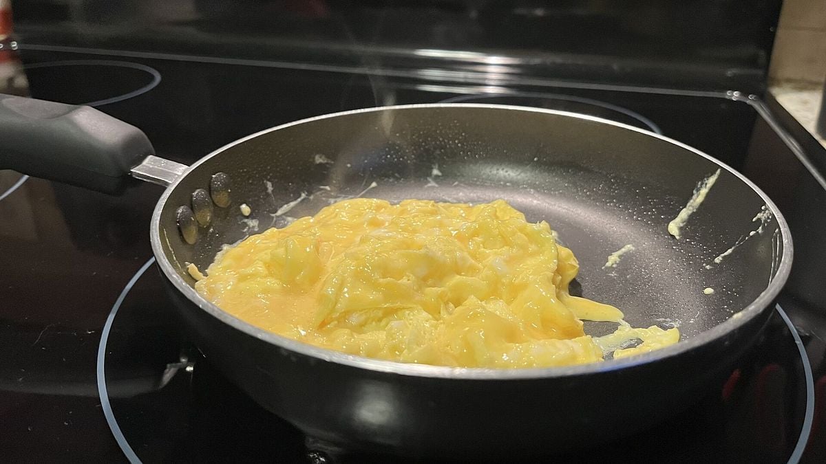 No Happy Egg class action suit after disagreement over pastures, acres