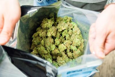 FILE - recreational marijuana, cannabis