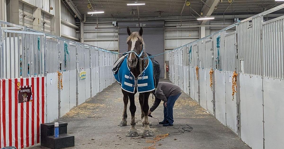 Racing board declines bankrupt applicant with track sold to data center builder