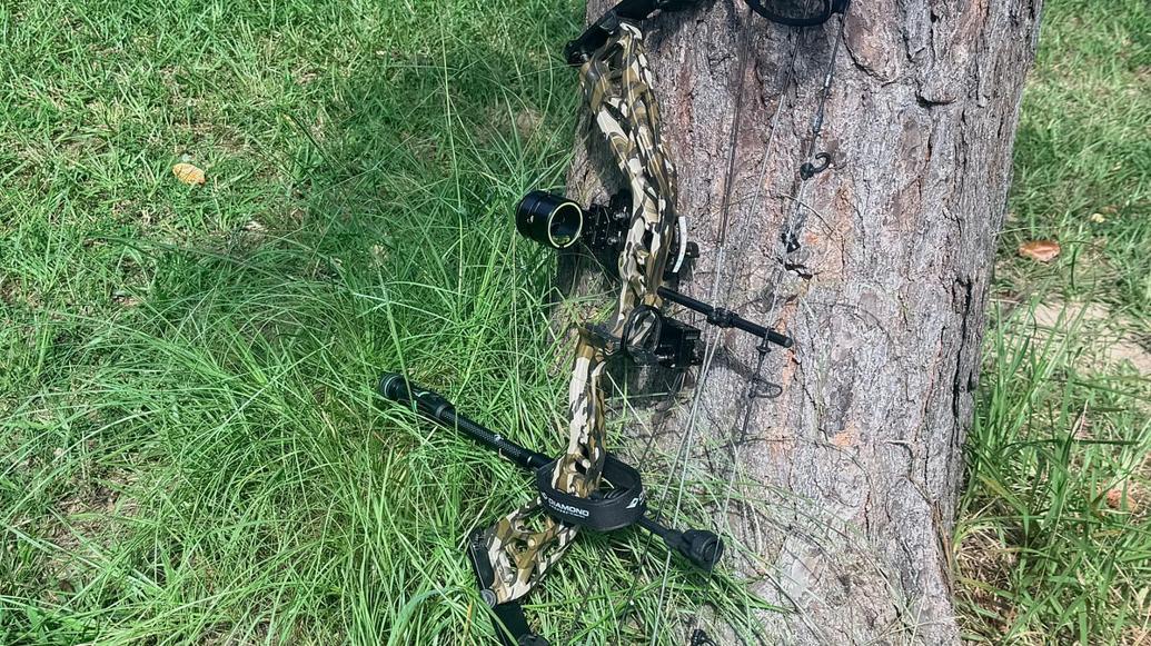 Exploding Tree Risk Wisconsin Wisconsin tracking deer disease outbreak, says it’s ‘spreading ...