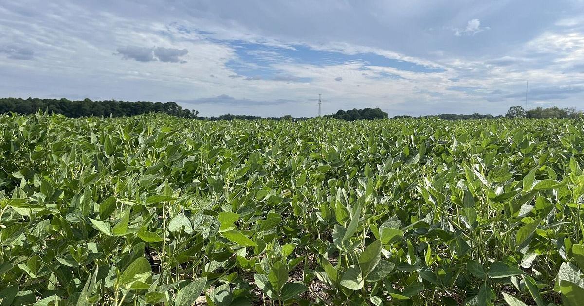 More water coming from Mexico, new NWS facility opened