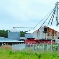 USDA: 45M acres of American land owned by foreign entities