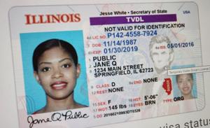 Noncitizen driver's licenses, News