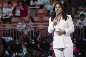 Illinois quick hits: Gabbard to rally for Bailey; mountain lion captured in Springfield