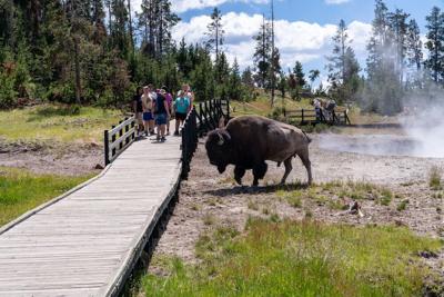 FILE - Yellowstone National Park Tourism