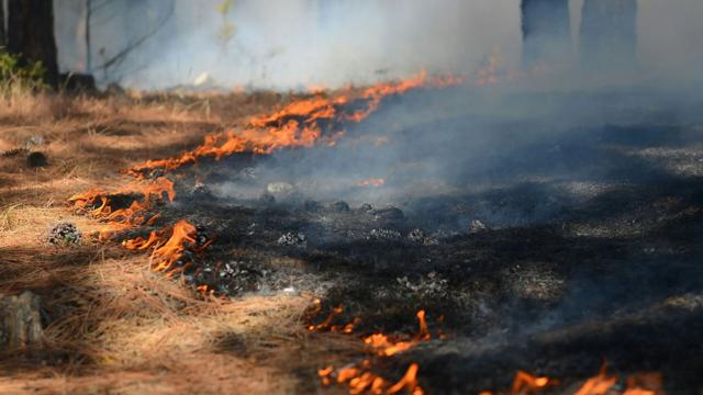 Minnesota wildfires prompt burning restrictions as air quality improves