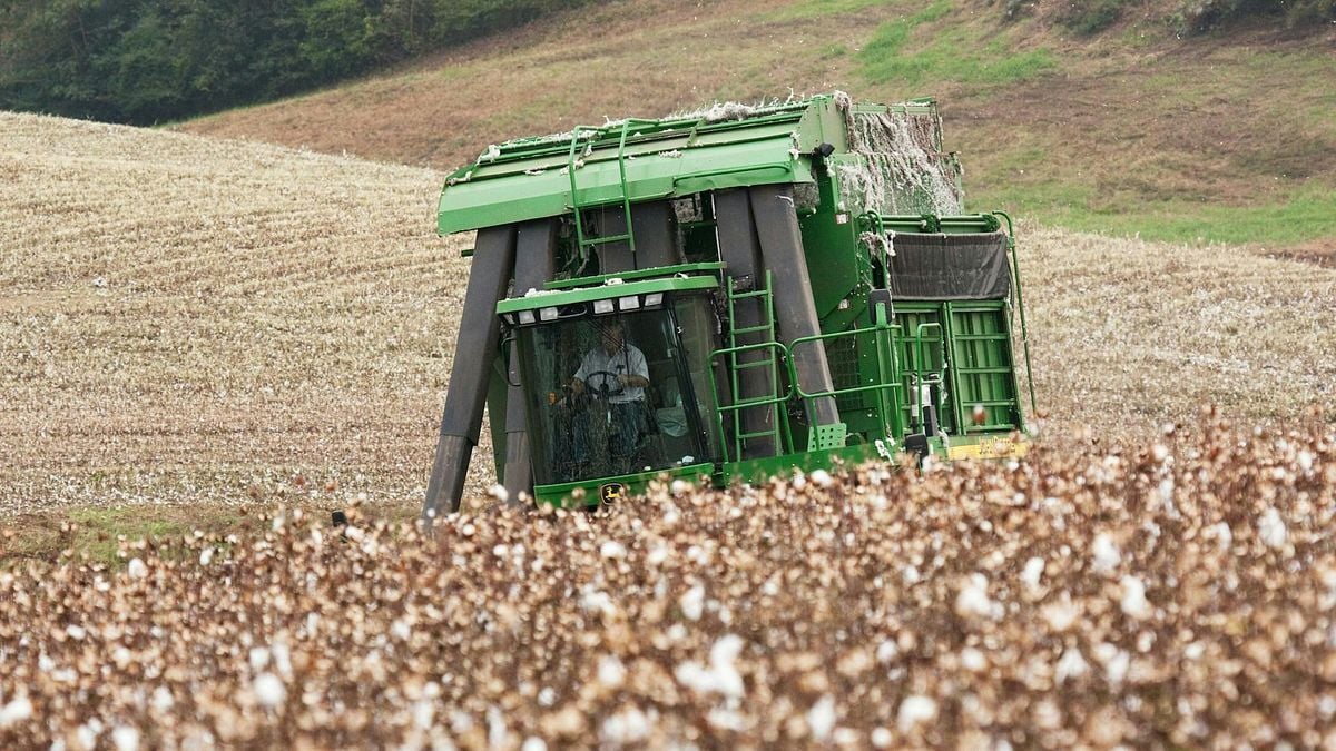 thecentersquare.com - Thérèse Boudreaux - On National Farmers Day, farm bill stuck in limbo