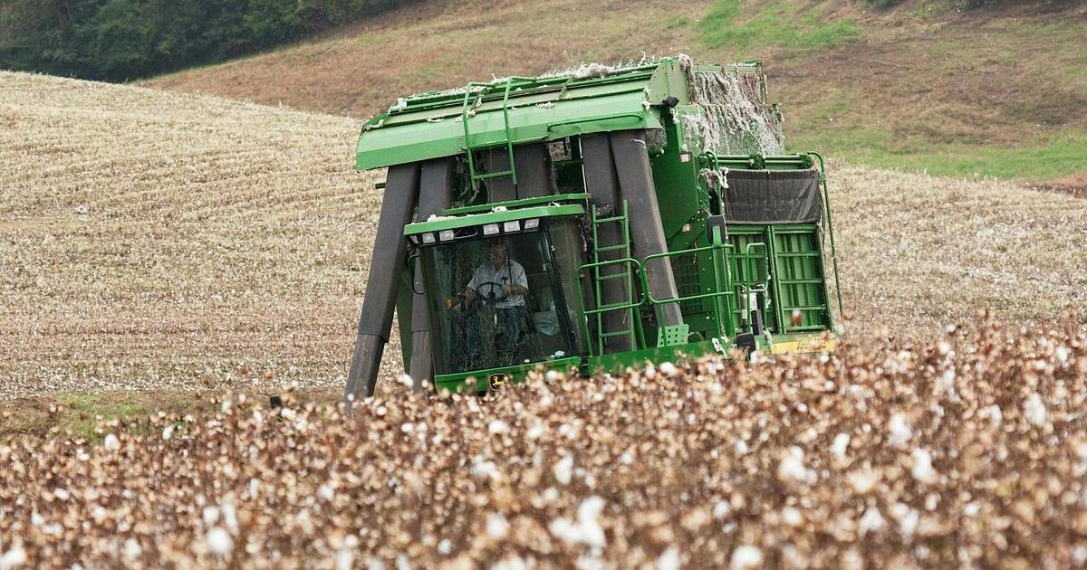 Helene: Shutdown stymies $531.2M grant program assisting Georgia farmers