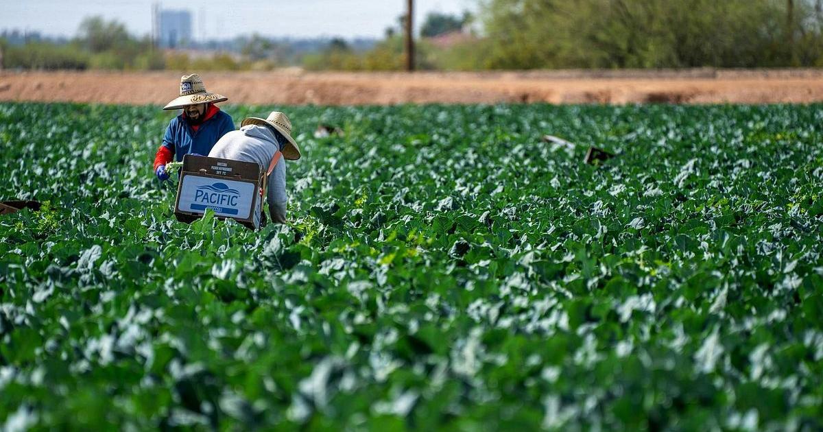 Texas leaders look to immigration reform