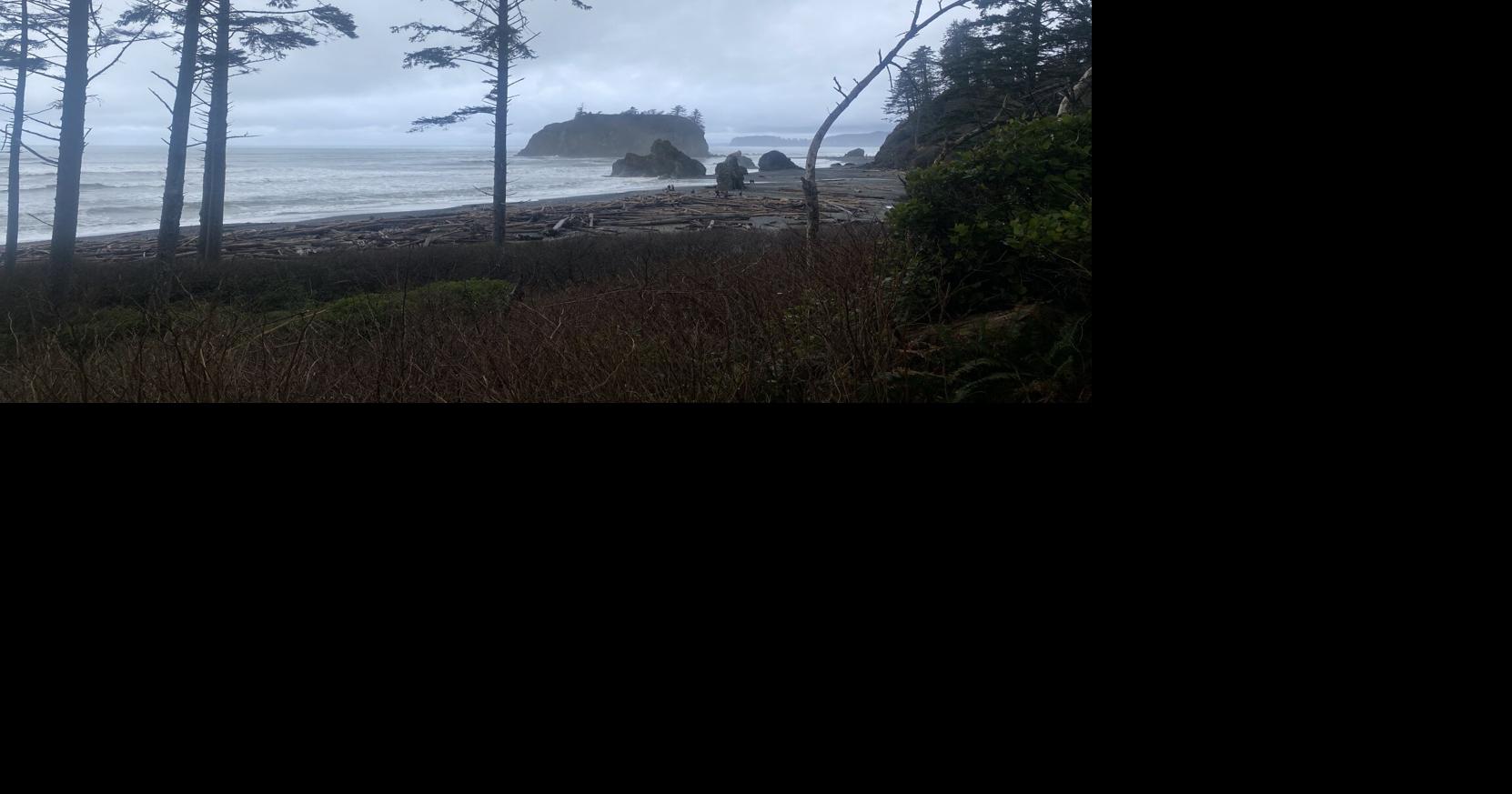 Federal funding loss threatens WA’s coastal defenses against climate hazards
