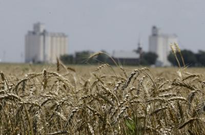 FILE - Kansas Wheat Harvest Agriculture