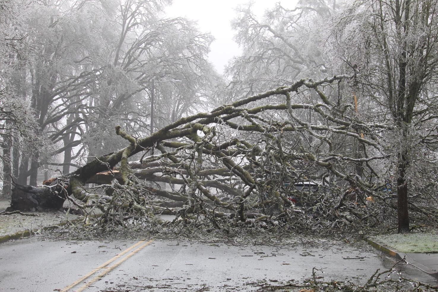 Oregon ice storm leaves thousands in the dark Oregon