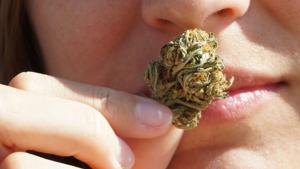 Bill removing cannabis odor as cause for vehicle search headed to Illinois House