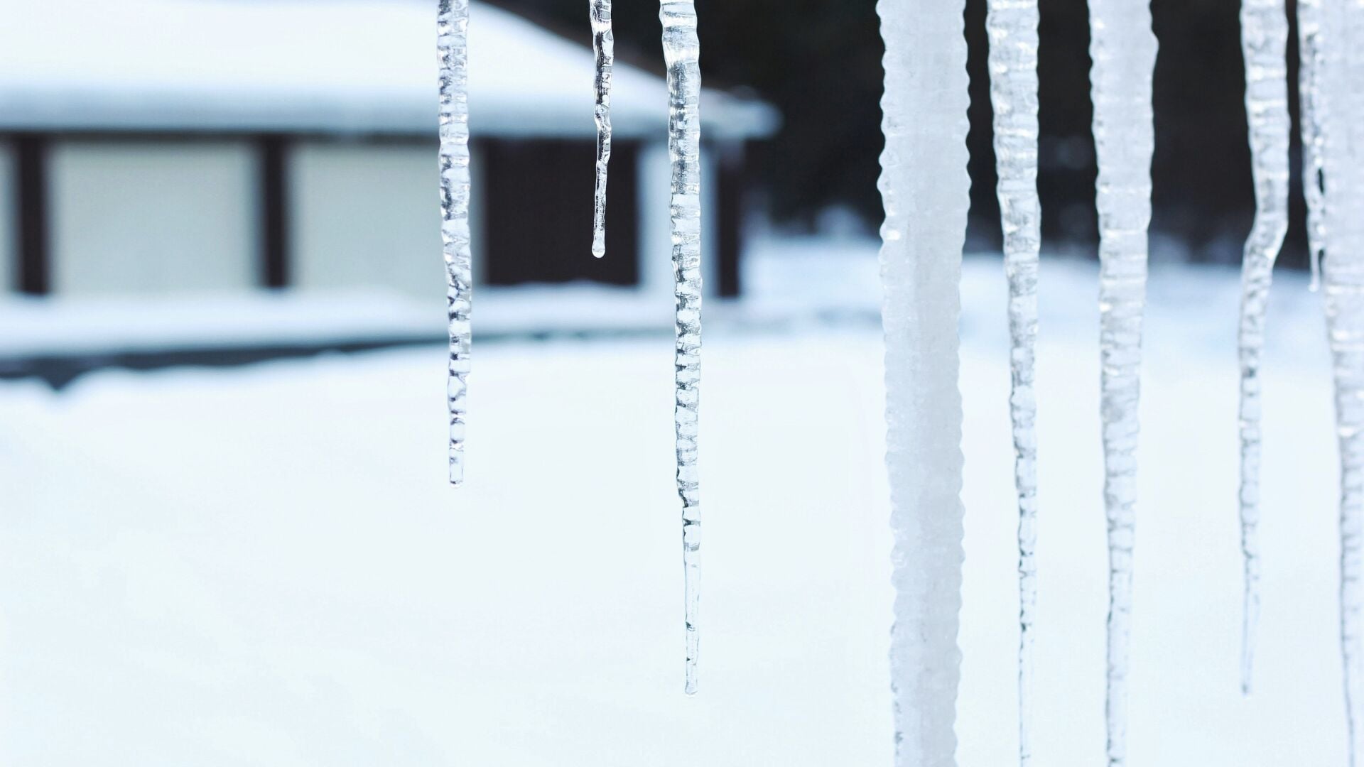 WATCH: WA farmers allege CCA funds subsidize anti-agriculture activism