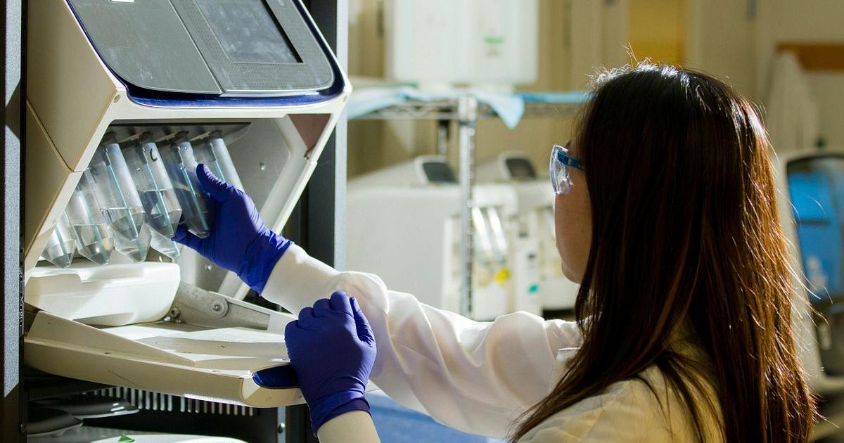 Court blocks Trump cuts to public health research funding