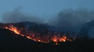 Dry, windy conditions remain troublesome in Carolinas wildfires