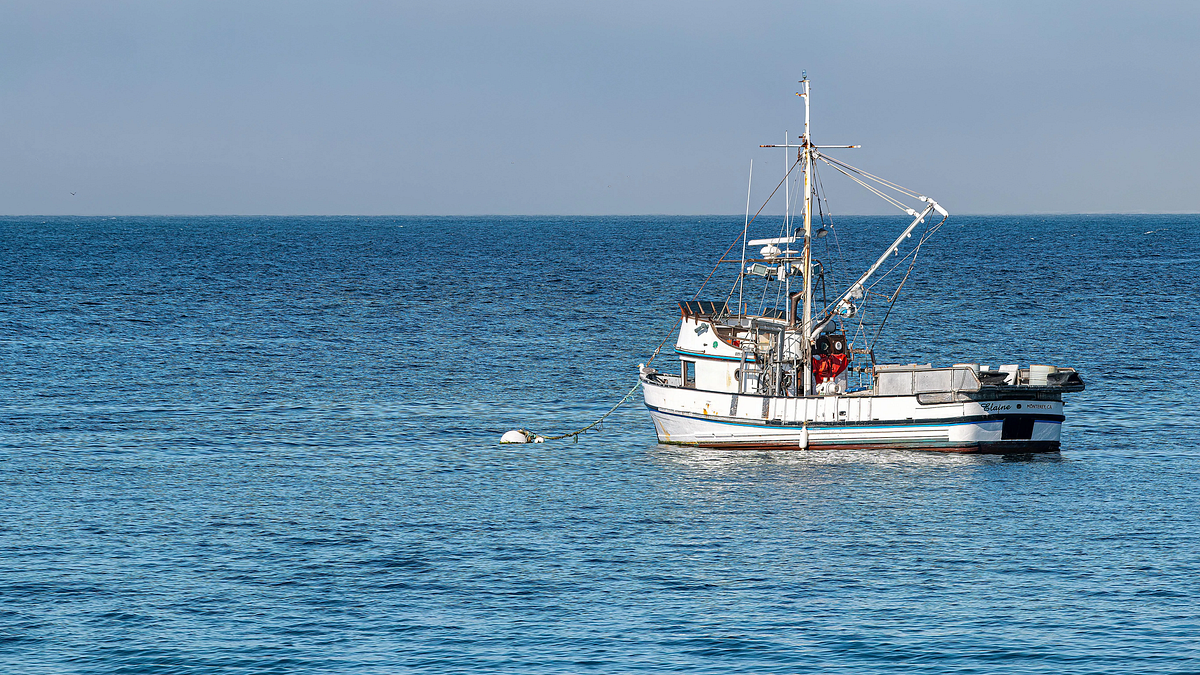 Fishermen advocate begins campaign against offshore wind, ‘industrializing’ of the ocean